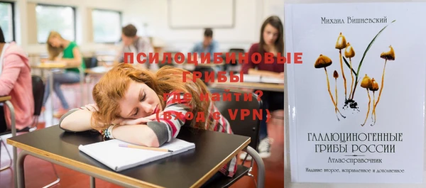 mdpv Горняк