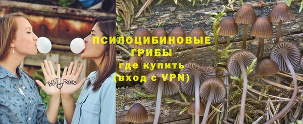 шишки Горно-Алтайск