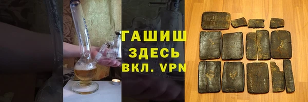 шишки Горно-Алтайск