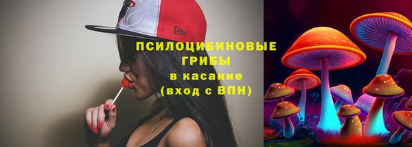 шишки Горно-Алтайск