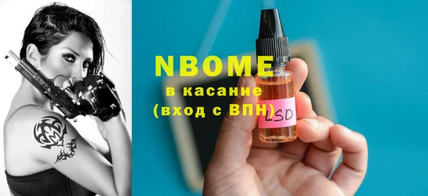 индика Михайлов