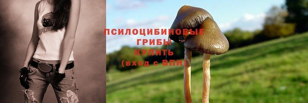 первитин Михайловск