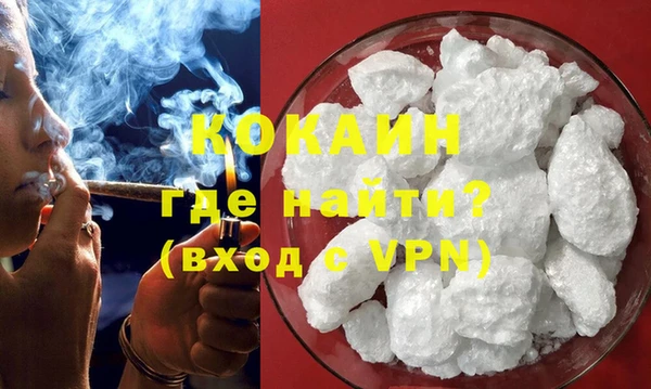 шишки Горно-Алтайск