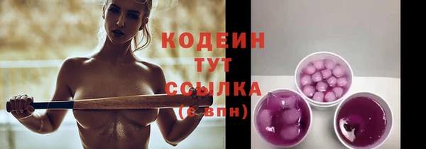 шишки Горно-Алтайск