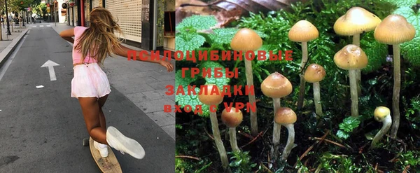 кокаин Михайловка