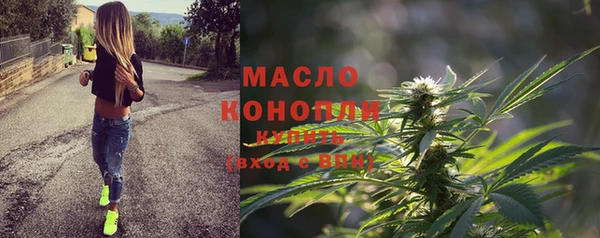 шишки Горно-Алтайск