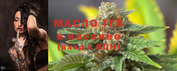 шишки Горно-Алтайск