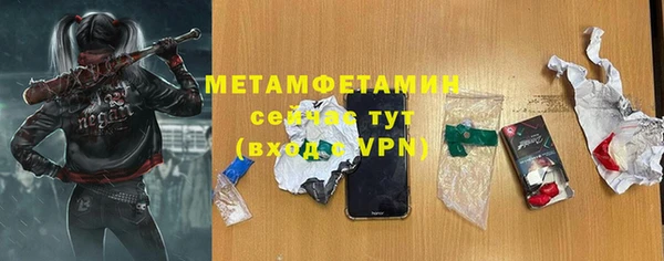 шишки Горно-Алтайск