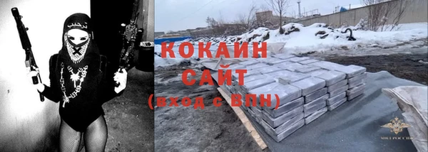 шишки Горно-Алтайск